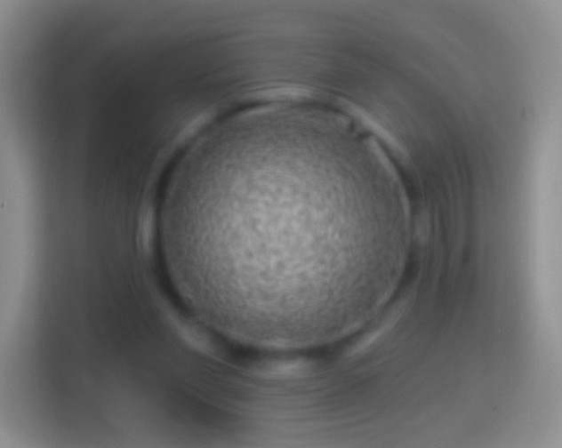 X0000114440206200910231325