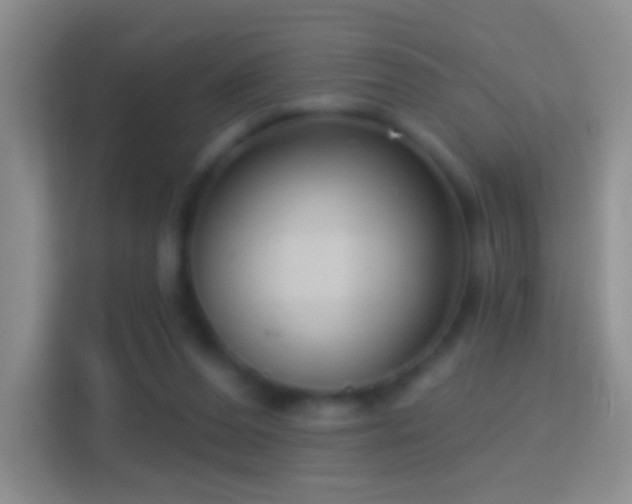 X0000114440208200910231325