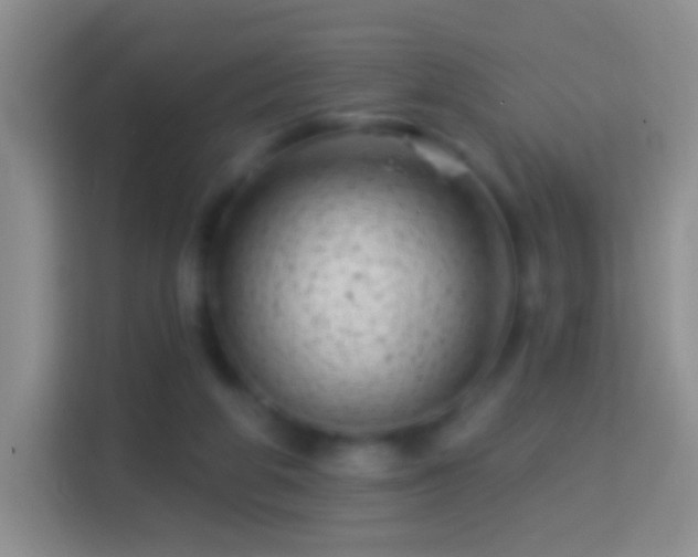 X0000114440210200910231325