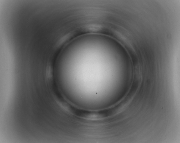 X0000114440212200910231325