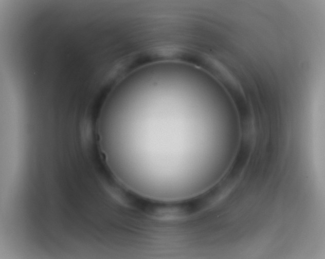 X0000114440213200910231325