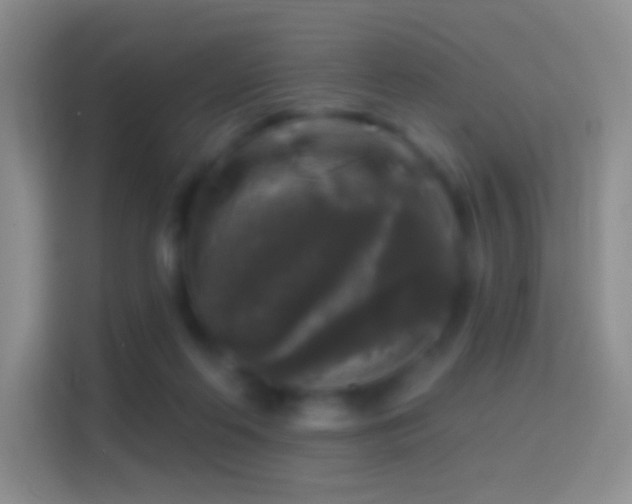 X0000114440214200910231325