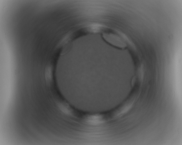 X0000114440217200910231325