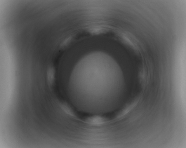 X0000114440219200910231325