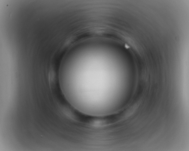 X0000114440220200910231324