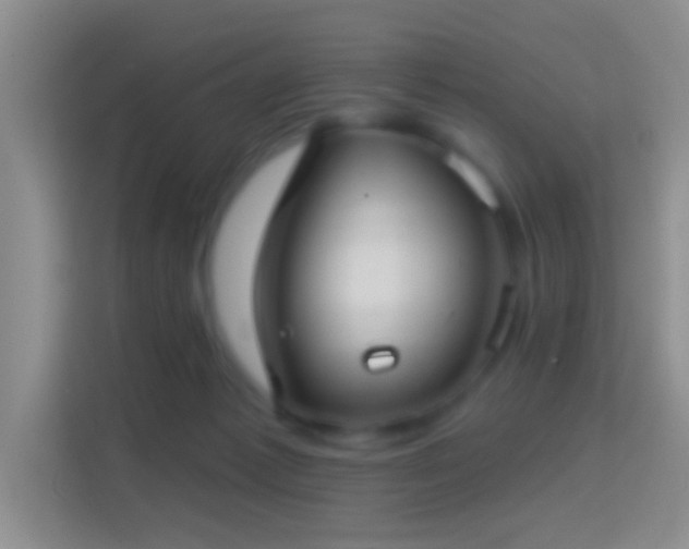 X0000114440221200910231324