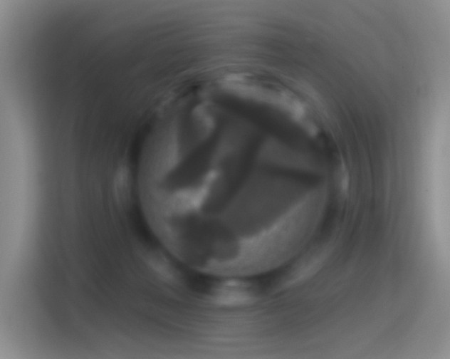 X0000114440222200910231324