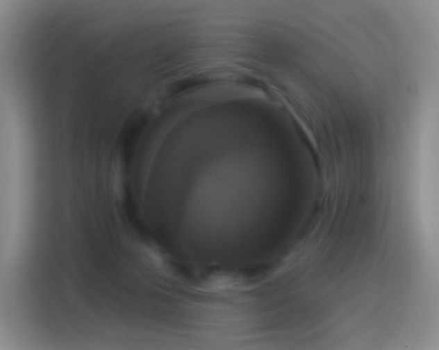 X0000114440223200910231324