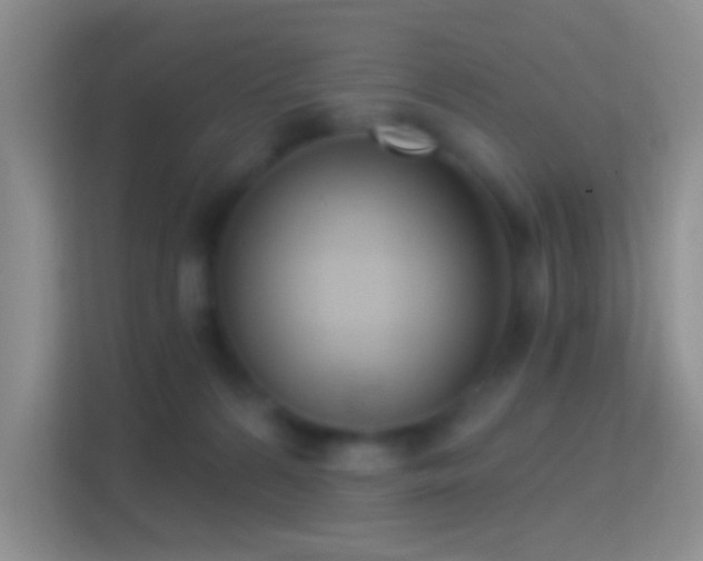 X0000114440224200910231324