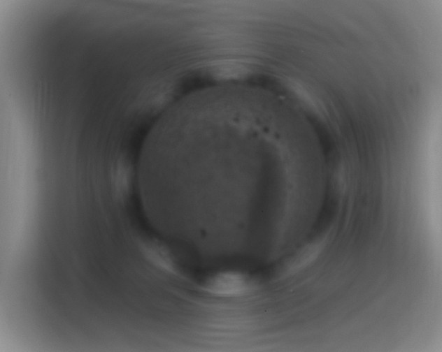 X0000114440227200910231324