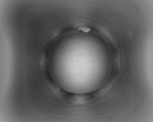 X0000114440228200910231324