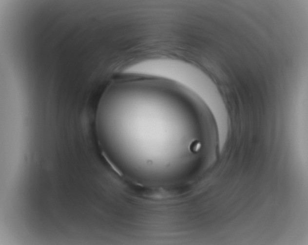 X0000114440229200910231324