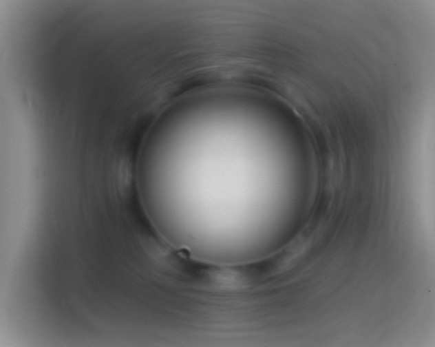 X0000114440230200910231324