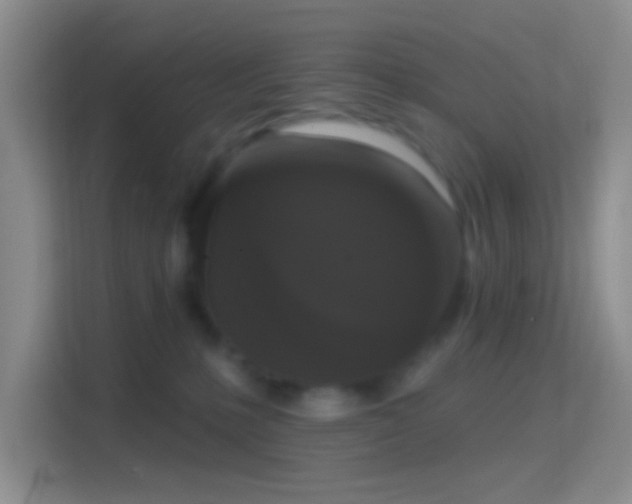 X0000114440231200910231324