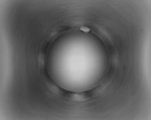 X0000114440232200910231324