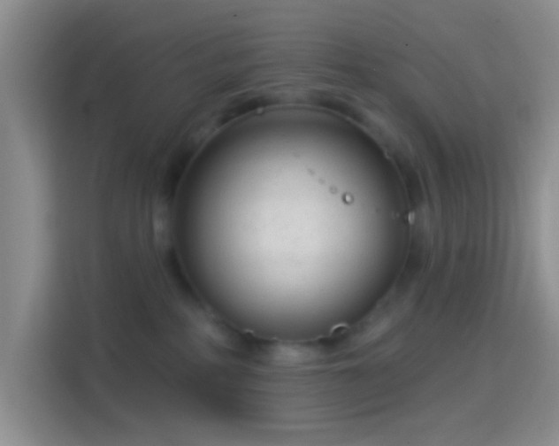 X0000114440234200910231324