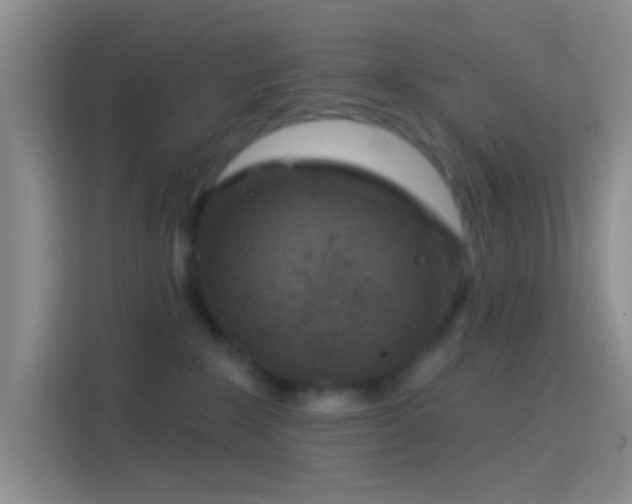 X0000114440235200910231324