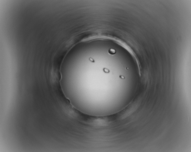 X0000114440236200910231324