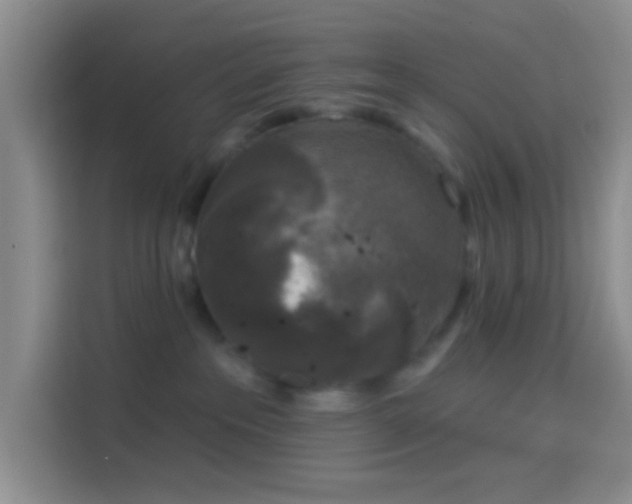 X0000114440237200910231324