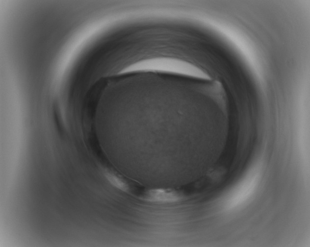 X0000114440239200910231324