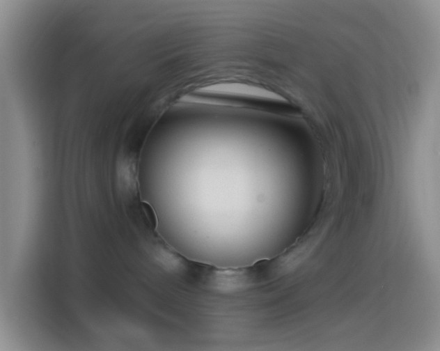 X0000114440240200910231324