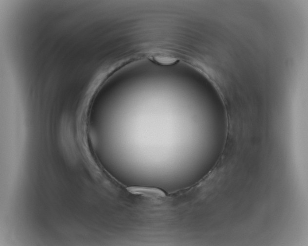 X0000114440241200910231324