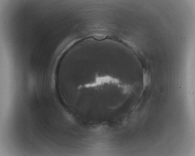 X0000114440243200910231324