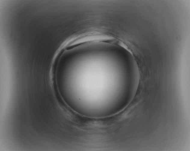 X0000114440244200910231324