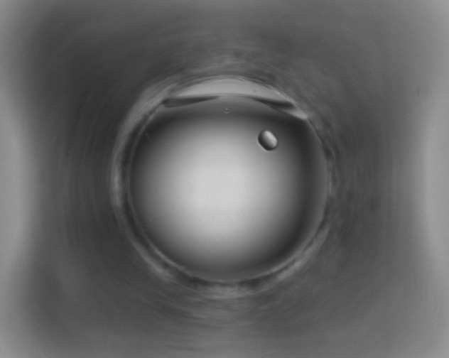 X0000114440245200910231324