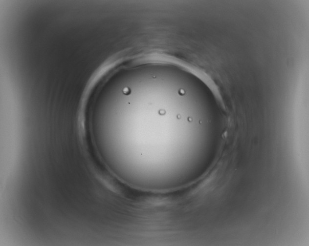 X0000114440246200910231324