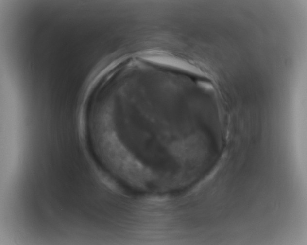 X0000114440247200910231324