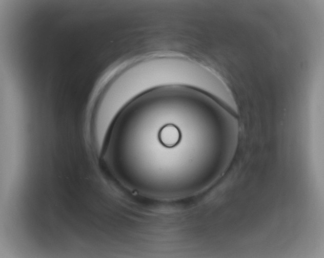 X0000114440248200910231324