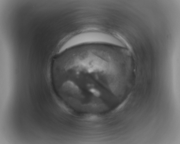 X0000114440249200910231324