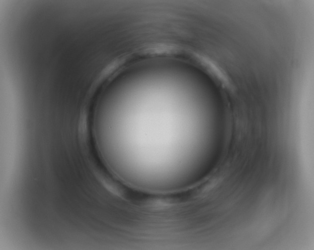 X0000114440250200910231324