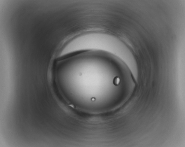 X0000114440252200910231324