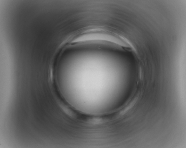 X0000114440253200910231324