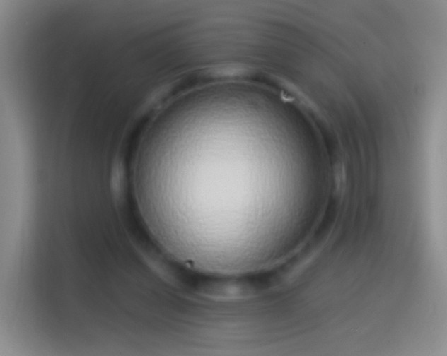 X0000114440254200910231324