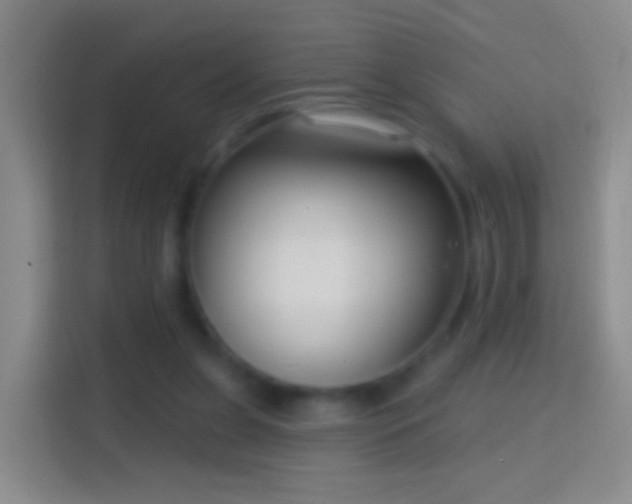 X0000114440255200910231324