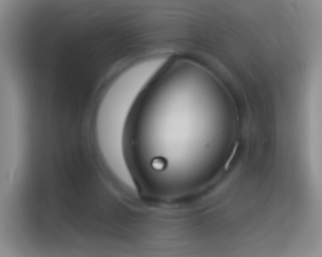 X0000114440256200910231324