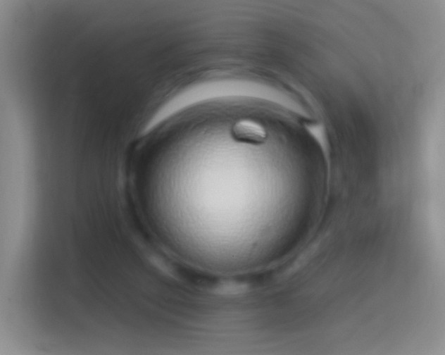 X0000114440257200910231324