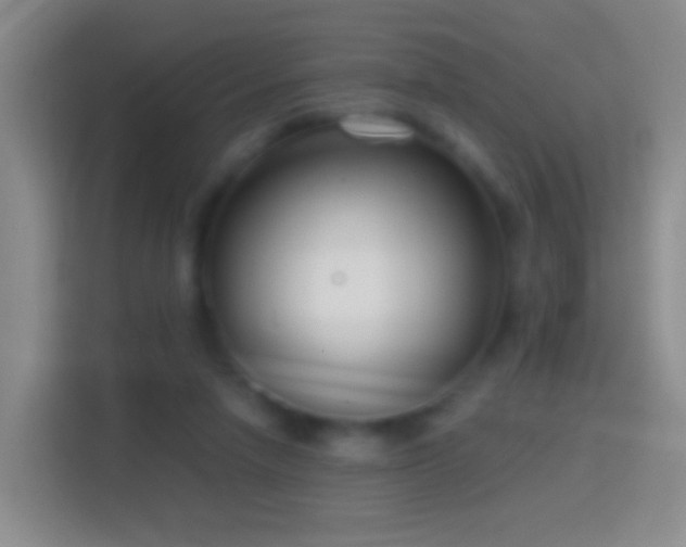 X0000114440258200910231324