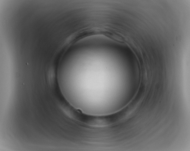 X0000114440260200910231324