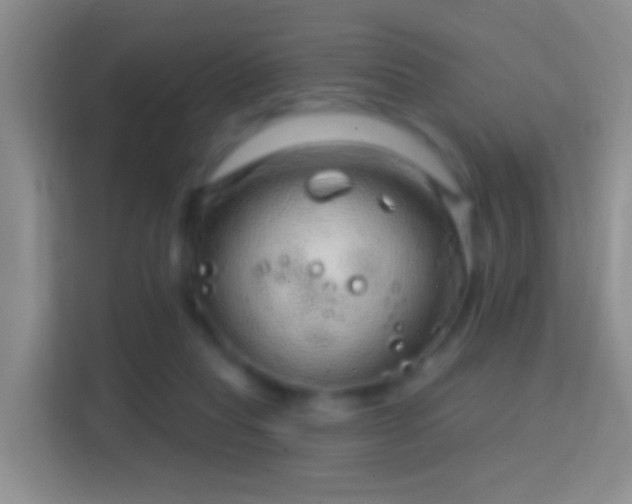 X0000114440261200910231324