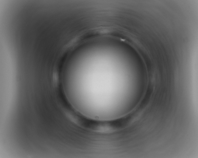 X0000114440262200910231324