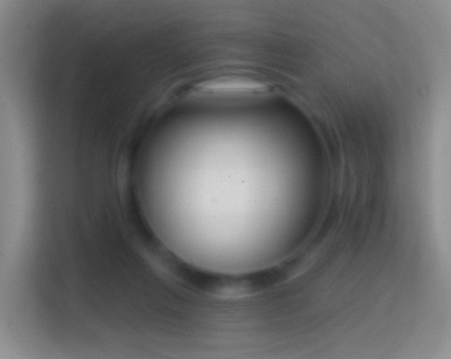 X0000114440263200910231324