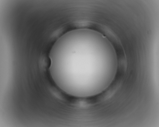 X0000114440264200910231324