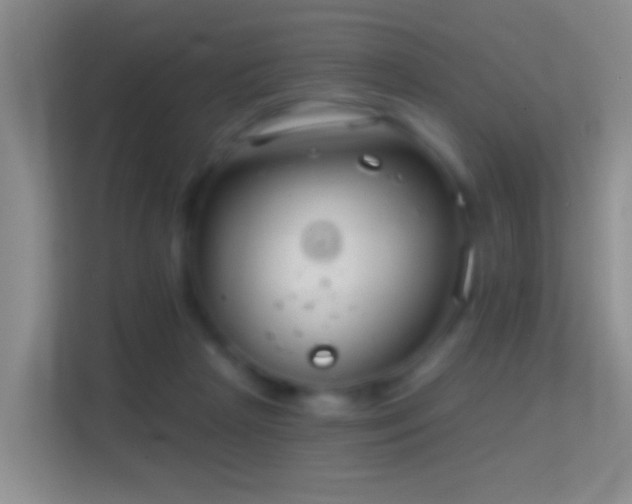 X0000114440265200910231324