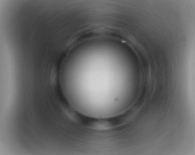 X0000114440266200910231324