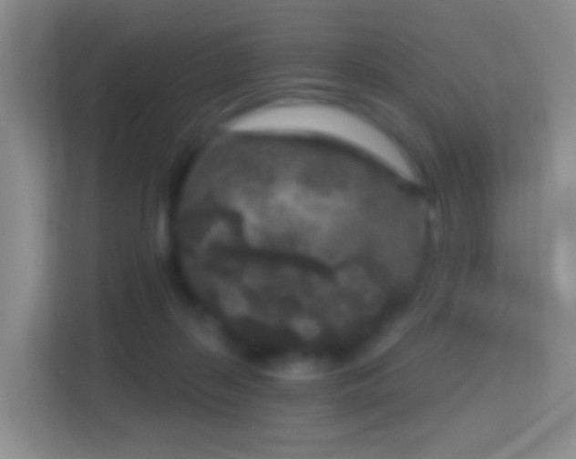 X0000114440267200910231324