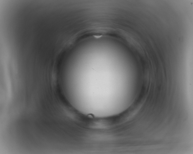 X0000114440268200910231324